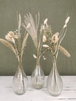 Drei Glasvasen mit natürlichen Trockenblumen