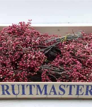 Dried bundle of pepper berries 35cm pink
