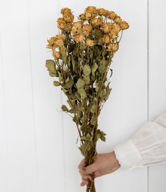 Gedroogde witte rozen 40 cm per bos