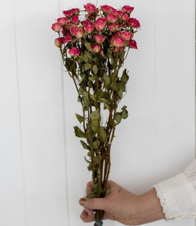 Gedroogde roze tros rozen  50 cm
