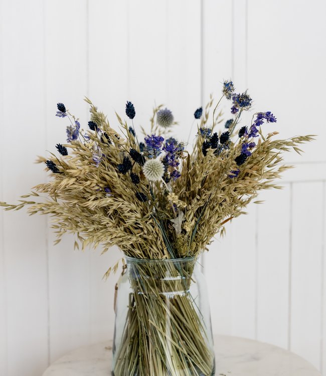 BaZ Bouquet de fleurs séchées Avoine Bleue