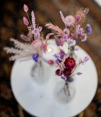 Bries aan Zee pink dried flowers including 3 vases