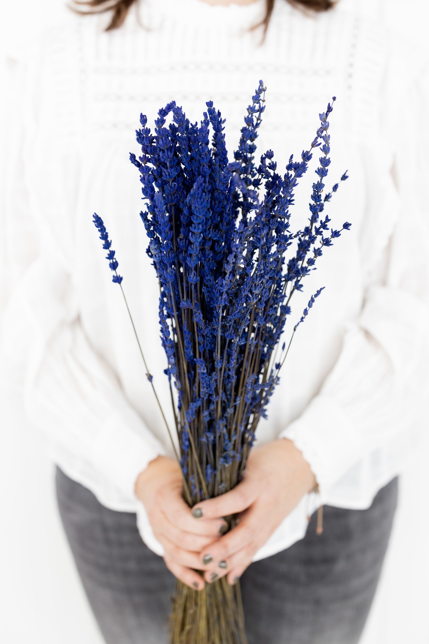 Lavande bleue intense séchée conservée - Bries aan Zee | Fleurs séchées et  bouquets