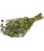 Getrocknete Nigella-Blume naturblau