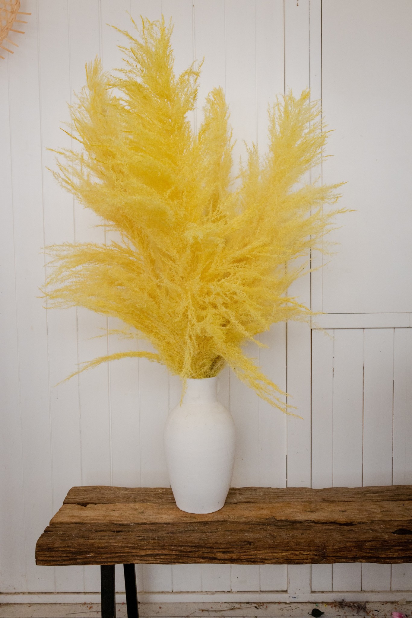 Herbe de pampa bouquet de fleurs séchées jaunes | Longueur ± 115 cm |  Emballé par 5 panaches - Bries aan Zee | Fleurs séchées | Bouquets secs |  Décoration