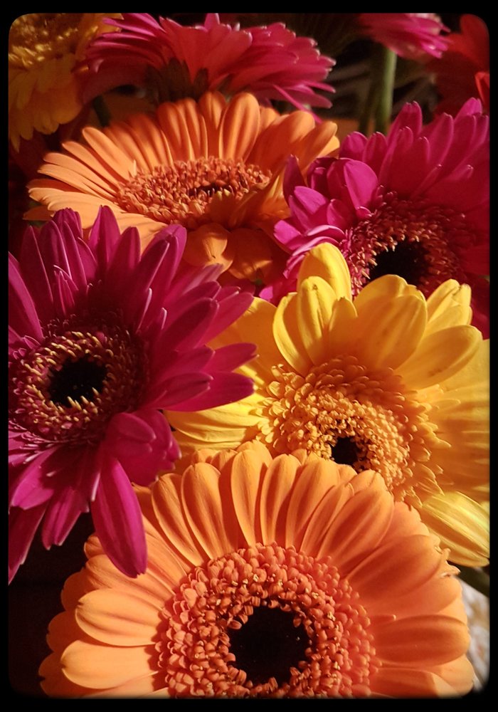 Elégance Couleur Bordeaux (RAL 3004)