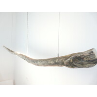 thumb-Treibholzleuchte Hängelampe  Esstischlampe-6