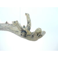 thumb-interessane Schwemmholz Treibholz Hängeleuchte mit Ober- und Unterlicht-4