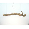 interessane Schwemmholz Treibholz Hängeleuchte mit Ober- und Unterlicht