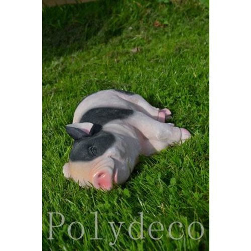 Polydeco Polystone varken liggend Polydeco Polystone varken liggend