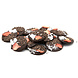 The Belgian Chocolate Makers Mendiants dark with strawberries, coconut and cocoa nibs 150 Grs The Belgian Chocolate Makers Mendiants dark with strawberries, coconut and cocoa nibs 150 Grs