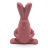 The Belgian Chocolate Makers Cool bunny (ruby) 30 Grs The Belgian Chocolate Makers Cool bunny (ruby) 30 Grs