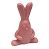 The Belgian Chocolate Makers Cool bunny (ruby) 170 Grs The Belgian Chocolate Makers Cool bunny (ruby) 170 Grs