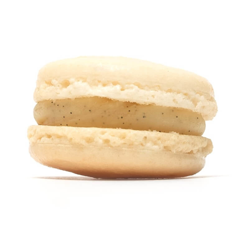 Macaron vanilla Macaron vanilla
