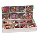 The Belgian Chocolate Makers Mendiants box (mix 8 flavors) 275 Grs The Belgian Chocolate Makers Mendiants box (mix 8 flavors) 275 Grs