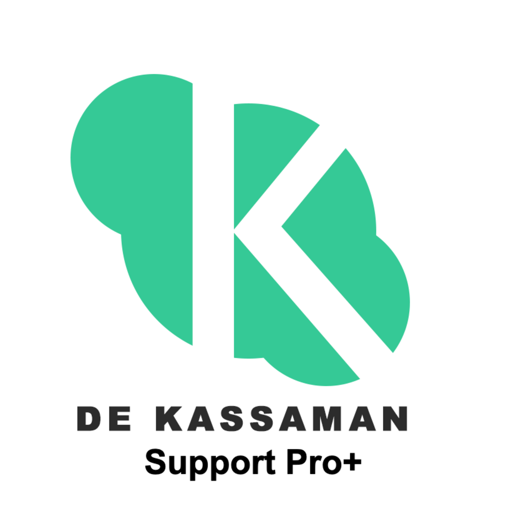 Premium support Pro+