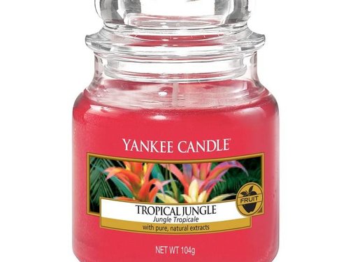 Yankee Candle Tropical Jungle - Small Jar