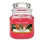 Tropical Jungle - Small Jar