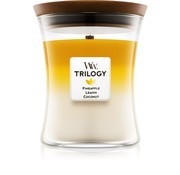 WoodWick Trilogy Fruits Of Summer - Medium Candle