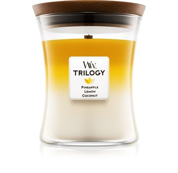 WoodWick Trilogy Fruits Of Summer - Medium Candle