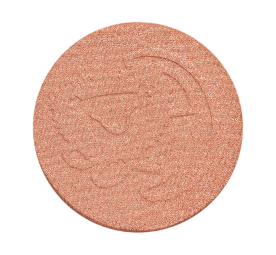 x Disney Lion King - Future King Highlighter