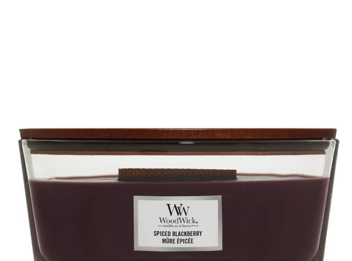 WoodWick Spiced Blackberry - Ellipse Candle