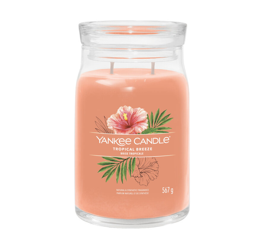 Tropical Breeze - Signature Large Jar