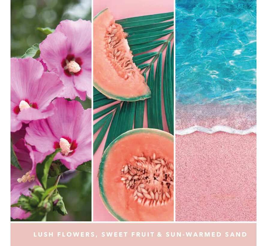 Pink Sands - Scenterpiece
