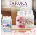 Sakura Blossom Festival