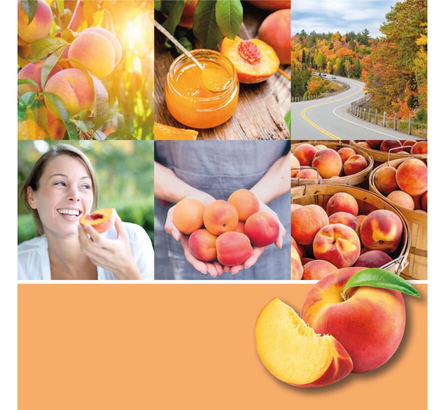 Farm Fresh Peach - Signature Medium Jar