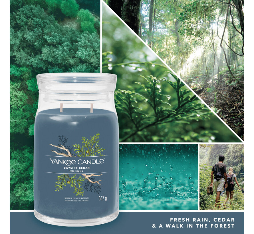 Bayside Cedar - Signature Large Jar