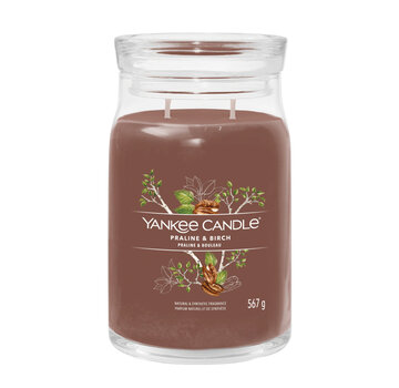 Yankee Candle Praline & Birch - Signature Large Jar