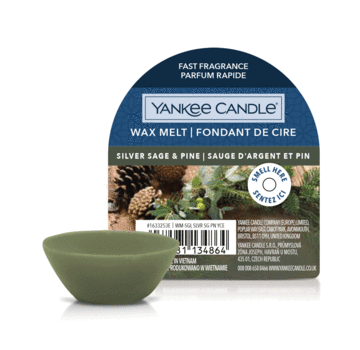 Yankee Candle Silver Sage & Pine - Tart