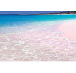 Pink Sands