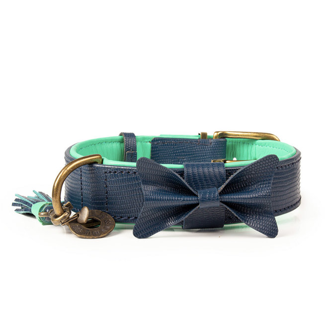 halsband buster XS breedte 2CM 26cm-29cm