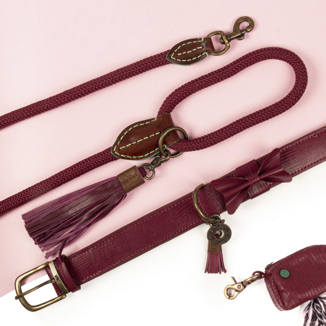 leash bonnie S 165cm