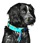 halsband blue S breedte 2CM 29cm-33cm