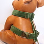 handmade harness forest green velvy MEDIUM
