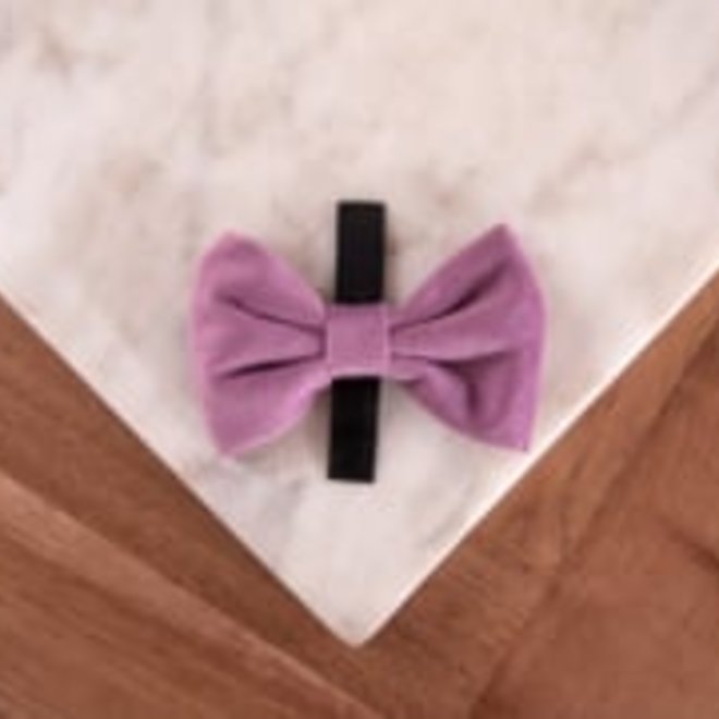 velvy olivia bow tie