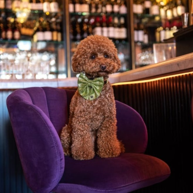 Glitter bow tie green 9,5cm 8,5cm