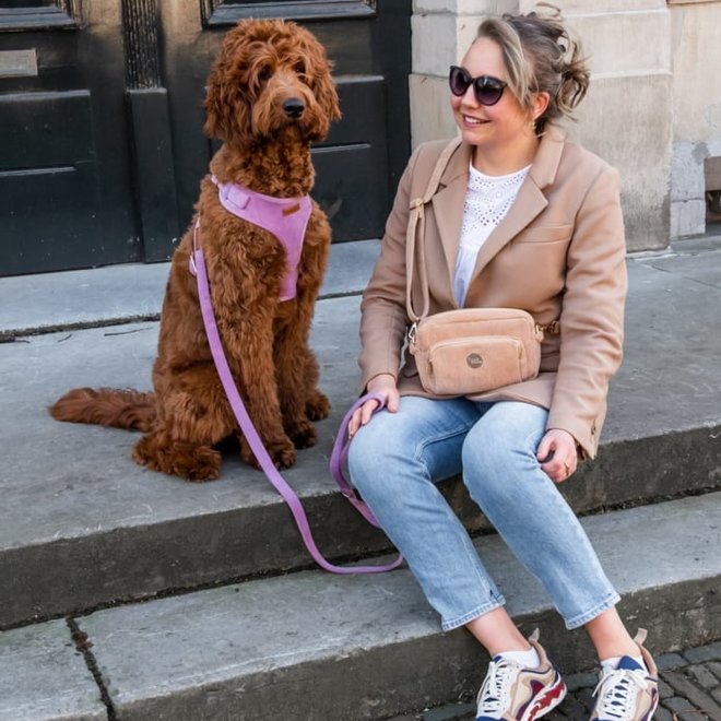 fancy dog mom bag coral