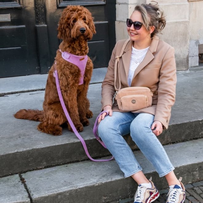 fancy dog mom bag advocado green