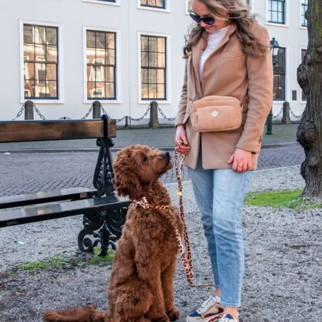 fancy dog mom bag advocado green