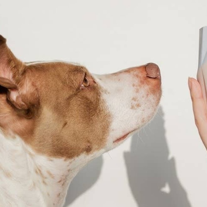 Treat-stuffer / Chew toy