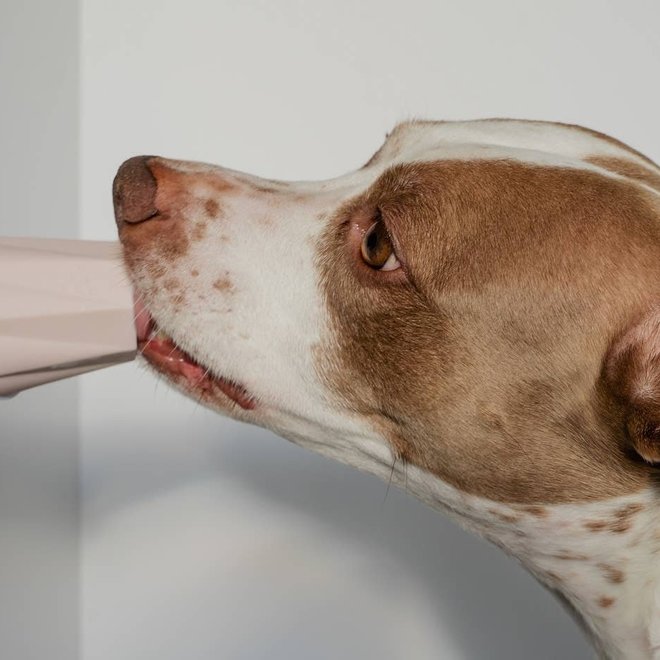 Treat-stuffer / Chew toy