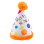 happy pawty day hat18 cm