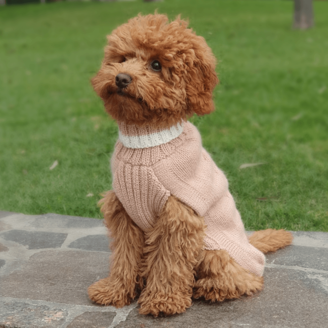 dusty pink alpaca dog sweater XS