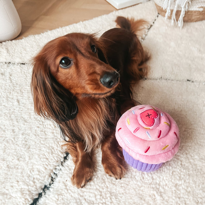 Cupcake dog