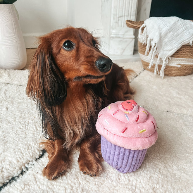 Cupcake dog