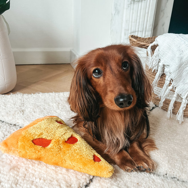 Pizza dog